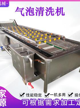 蓝莓压喷淋气泡清洗机全自动芦笋气泡清洗设备魔芋爽气泡清洗线