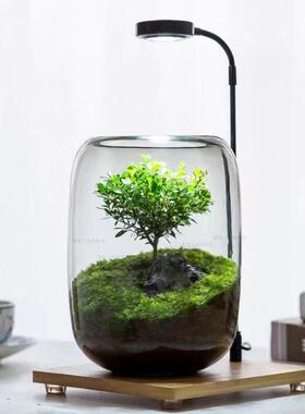 生态瓶微景观免换水diy科学作业材料玻璃办公桌面小鱼缸生态鱼缸