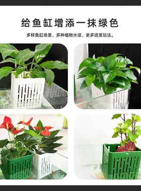 水培固定篮鱼缸水草固定神器壁挂式种植杯鱼缸造景装饰黄金葛定植