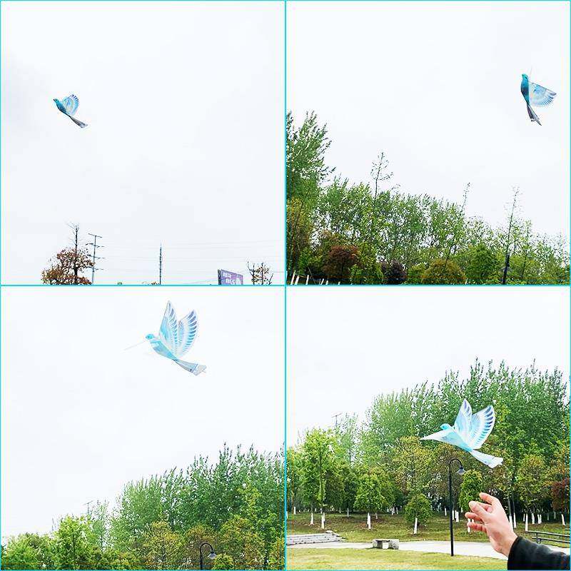 遥控飞扑翼鸟飞机电动鲁班会智能机械飞行器充电鸽子儿童王之,淘宝优惠券,粉丝福利购,淘宝优惠卷