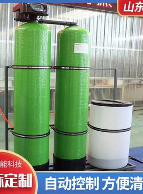 反渗透水软水机除铁锰软水工业锅炉除垢软水处理设备全自动软水器