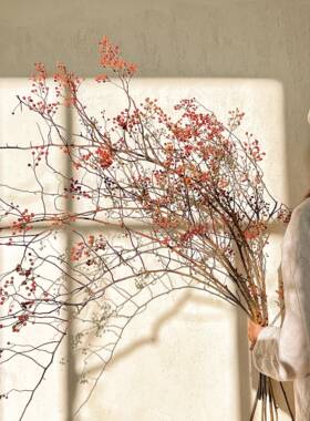红果山归来真花干花新中式侘寂风家居插花装饰摆件蔷薇果干树枝
