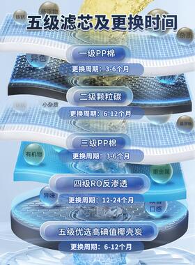 状元王双出水可直饮纯水机RO反渗透净水器5级过滤除菌家用白色