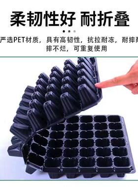 育苗盘种植盘 平盘无孔盒加深 阳台育苗扦插蔬菜加厚穴盘厂家
