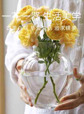 曼叙花瓶玻璃透明水养插花高级感现代简约风2024新款透明桌面花瓶