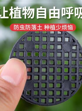 多肉花盆底孔垫网底网垫片防漏网底部防漏土透气网格垫子垫底网片