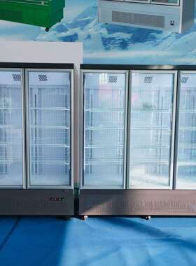 凌雪商用冰箱-25度低温冷冻展示柜风冷除雾玻璃双门三门冷藏柜