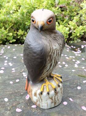 抖音同模惊吓火花、三重刺激、亮度差、模拟鹰鸮阳台绿植防鸟