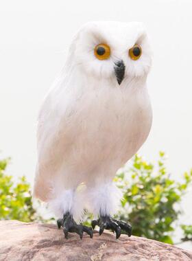 新品彷真羽毛猫头鹰哈利波特摆件万圣节cosplay表演道具摄影装饰