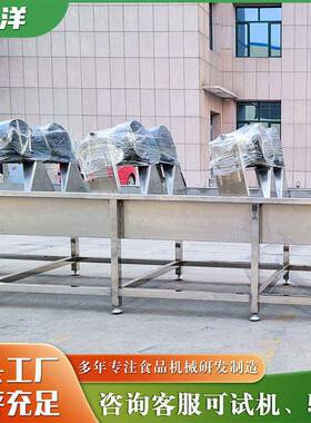 自动净菜加工流水线 青菜土豆生菜清洗切配设备 果蔬清洗沥水装置