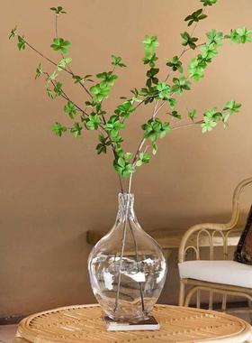 透明玻璃摆件大肚花瓶客厅落地圆肚小口径插花水养马醉木水培吊钟