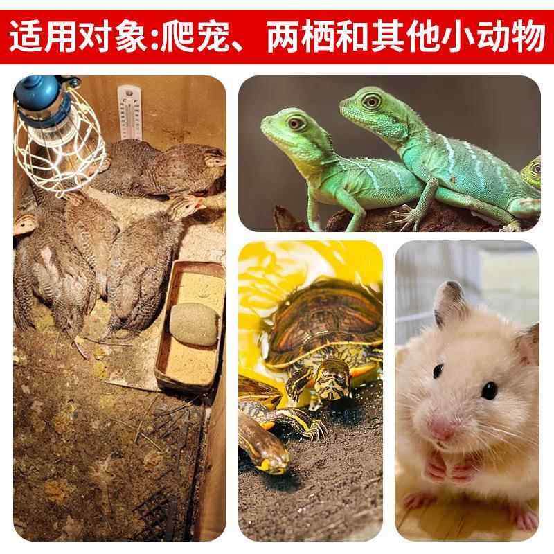 养殖取暖灯乌龟晒背灯取暖灯加热灯爬虫宠物取暖灯uva灯泡,淘宝优惠券,粉丝福利购,淘宝优惠卷