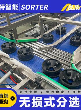 哈密瓜重量分选机 梨子水果石榴无损分级机 麒麟西瓜称重选果机