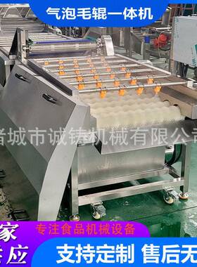 全自动黄皮果清洗机火龙果清洗加工设备柠檬气泡毛辊一体清洗机