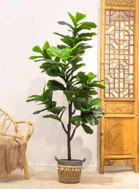 无花果绿色植物人造盆栽客厅装饰大型假植物饰品彷生绿色植物假花