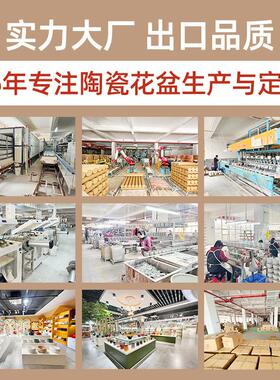 花盆陶瓷高级感发财树金钱树客厅办公室绿植专用花盆一件起批