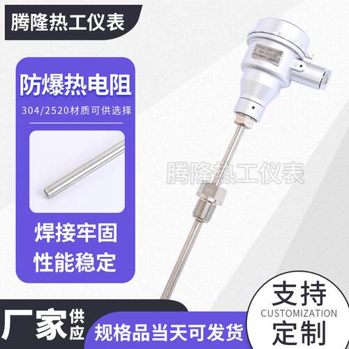 防爆铂热电阻温度传感器电伴热带用防爆PT100铂热电阻 - 图1