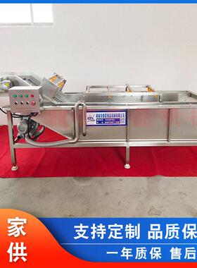 杏鲍菇清洗加工设备 定制菌类清洗机 裙带菜气泡清洗机  鼎信机械