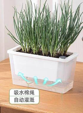 种葱阳台种菜盆窄小边缝种植盆家专用箱窗沿懒人自吸水花盆多肉槽