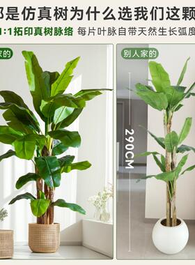 高端芭蕉树彷真绿色植物室内大型彷生氛围树假树植物盆栽造景装饰
