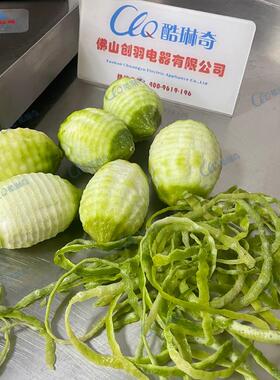 II廉江红橙削皮机奶茶店纯果汁处理多功能自动刮皮机剥皮机