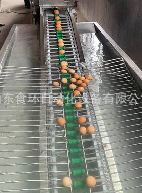 鸡蛋鸭蛋清洗风干线多功能洗麻酱蛋机器脏鸡蛋去泥机清洗干净
