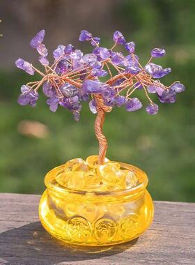 【九紫钱树】南信义太哥推荐家居客厅办公桌面装饰家居陈设