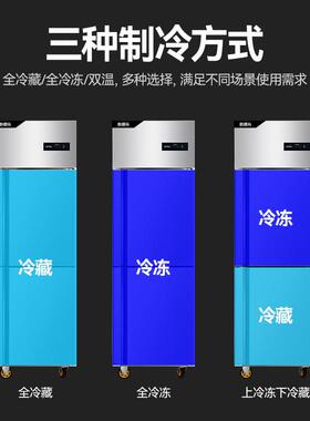 双门冷柜冷藏冷冻双温保鲜柜大容量低耗节能双门不锈钢厨房冰箱