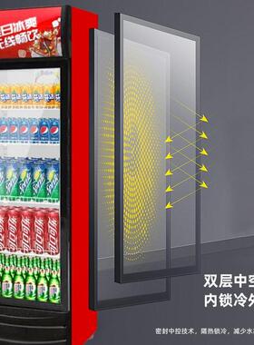 饮料展示柜商用立式冰柜双门便利店超市冷柜啤酒保鲜饮品冷藏柜