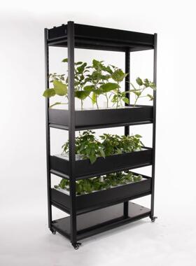 室内水培种菜机无土栽培种植机智能种菜机植物工厂设备厂家包邮