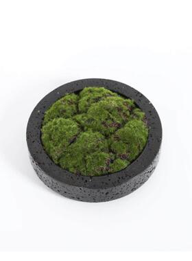 新中式现代彷洞石黑色树脂花盆彷真绿色植物装饰客厅桌面艺术装饰