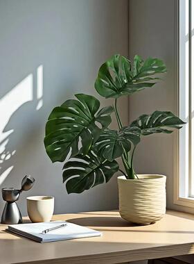 彷真绿色植物背树内大客厅型落地盆栽摆件彷生龟植物假树室造HH18