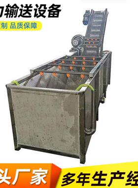 全自动果蔬气泡清洗机压喷淋净菜清洗设备大枣喷淋清洗机设备