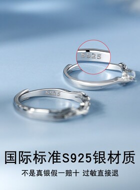 《蓝桉与鸟》银情侣戒指一对小众设计刻字男女情侣款对戒2025新款