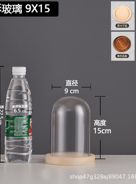 厂家跨境永生干花玻璃装饰摆件