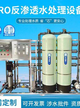 工业反渗透纯水设备食品生产反渗透净水设备自来水井水反渗透设备