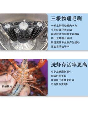小龙虾清洗机商用仿人工毛刷电动洗虾机神器田螺清洗机洗虾机电动