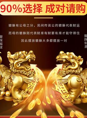 黄铜貔貅摆件一对公母皮丘铜貔貅开业送礼店铺办公室家居工艺品