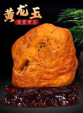 天然黄蜡石原石摆件黄龙玉奇石观光石头招财客厅办公室靠山石造景