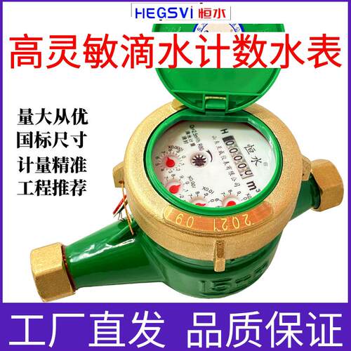旋翼式水表不锈钢高灵敏指针防滴漏自来湿式水表家用出租房4分6分 - 图0