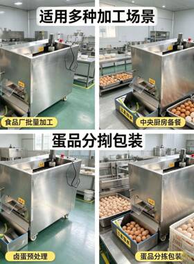 定制鸡蛋剥壳机卤蛋虎皮蛋剥壳设备商用蛋壳去皮机
