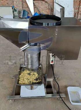 志强机械加工商用200蔬打碎机大泥果定粉碎机制韭菜姜末切蒜碎机
