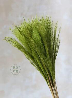 绿色永生花仙气十足干 干燥树枝手捧配叶悬挂花材造型树枝场景布