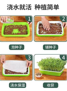 豆芽发芽盘水培蔬菜设备 豌豆苗种植架无土栽培家用芽苗菜育苗盆