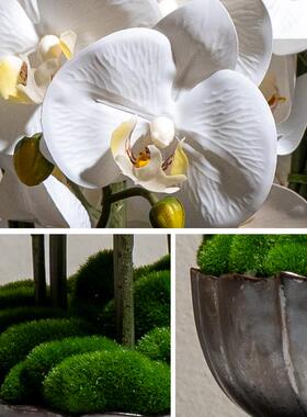 新中式手感仿真蝴蝶兰花商业餐饮饭店前台摆件玄关壁龛餐桌花摆花