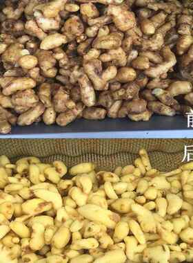 厂家直售祥九瑞盈商用脱皮机土豆芋头胡萝卜生姜清洗脱皮中央厨房
