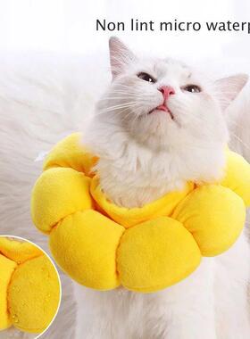 Cat Sunflower Elizabeth Cotton Neck Sterilization Feeding An