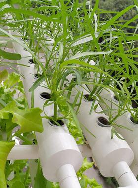 阳台管道式水耕蔬菜种植机无土栽培设备水培系统立体多层种菜架