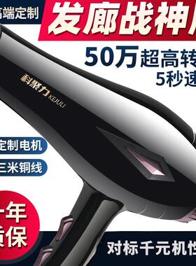 德国风专机负离子吹护发家用大功率3500w廊用发理髲店A10速干吹风
