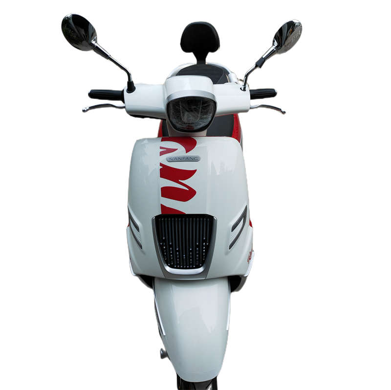 适用于南方摩托车飞戈150后靠背 NF150T-3改装加大后靠垫皮垫配件 - 图0